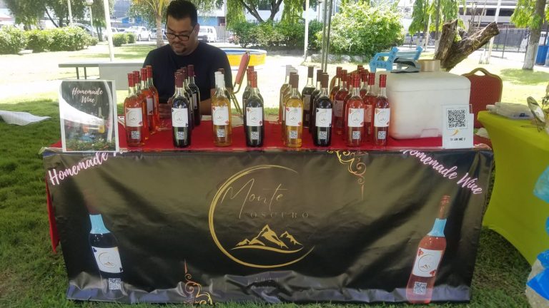 Monte Oscuro homemade wines by Narlly and Erick