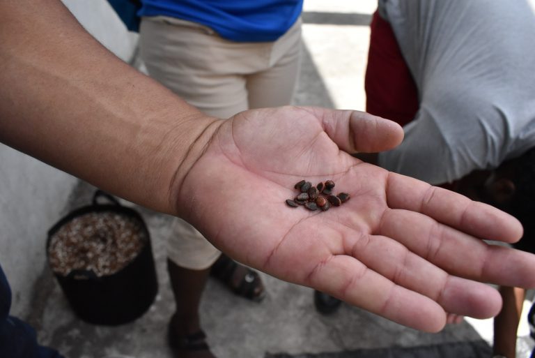 WhatsApp Image 2024-03-17 at 3.28.17 PM