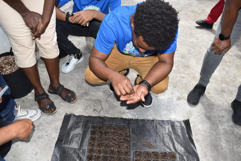 WhatsApp Image 2024-03-17 at 3.28.40 PM