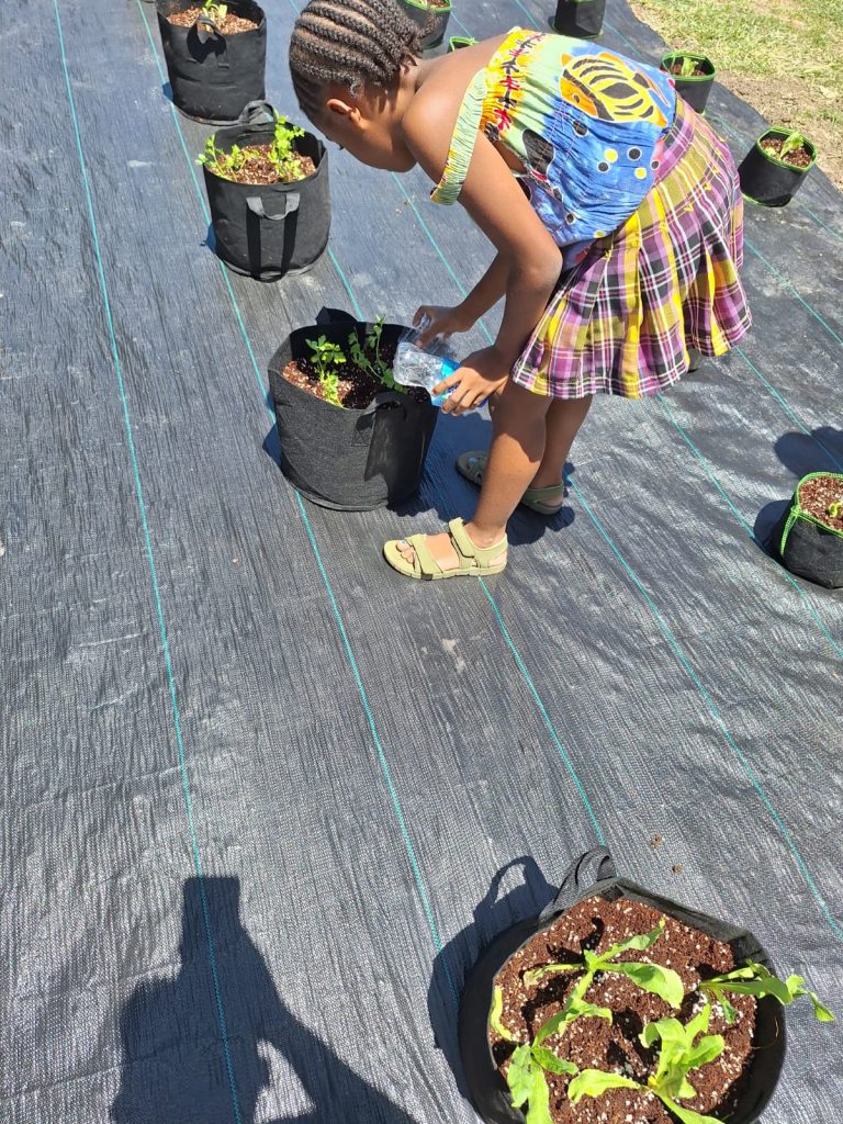 WhatsApp Image 2024-05-02 at 2.17.43 PM