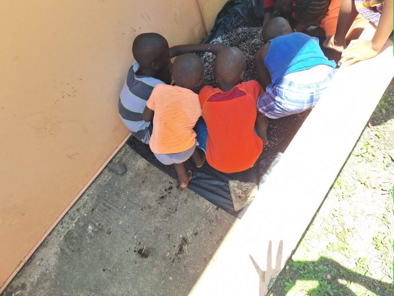 WhatsApp Image 2024-05-02 at 2.17.45 PM (1) - Copy