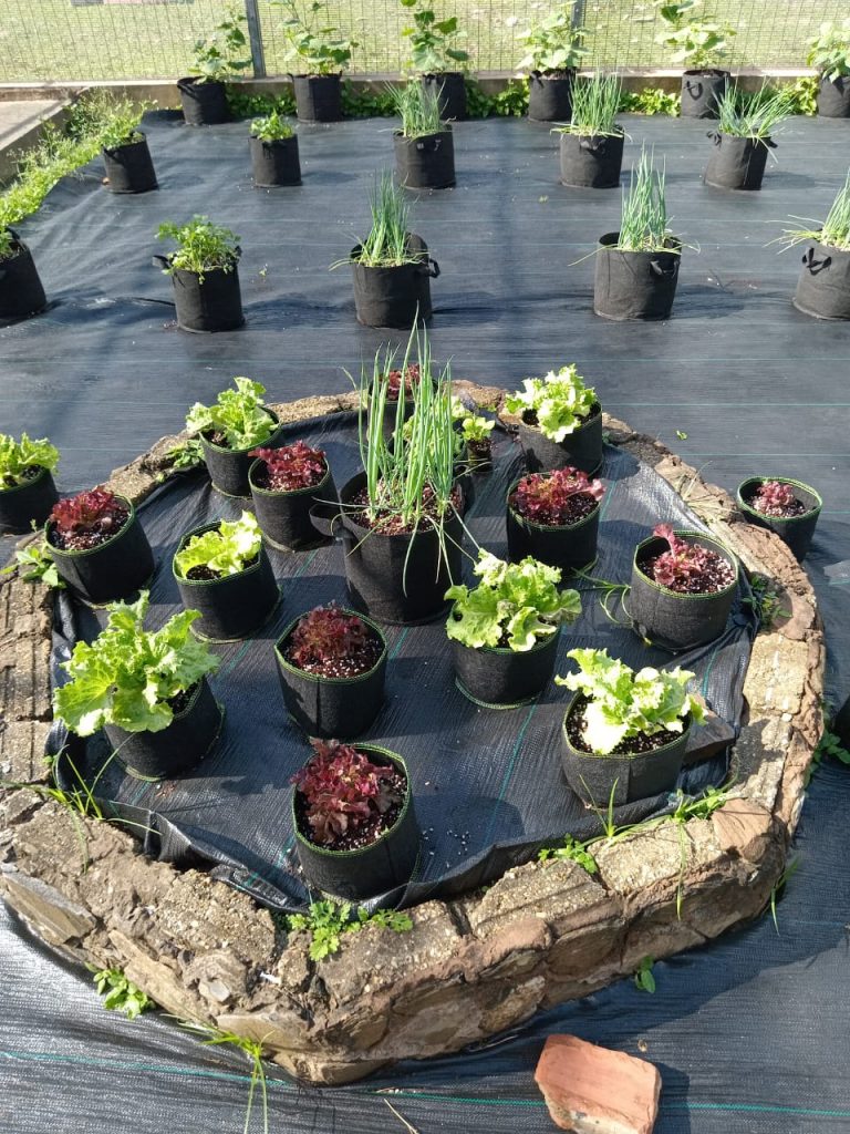 WhatsApp Image 2024-05-02 at 8.43.33 AM