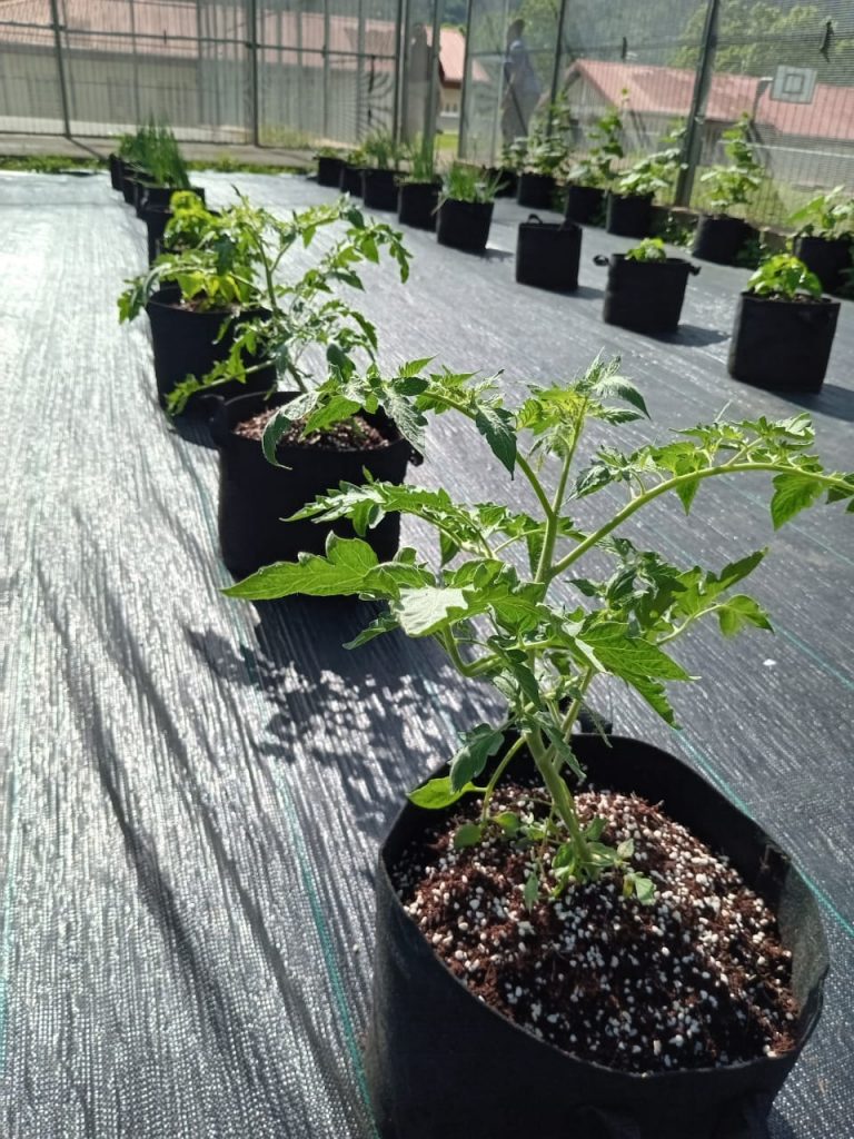 WhatsApp Image 2024-05-02 at 8.43.34 AM (1)