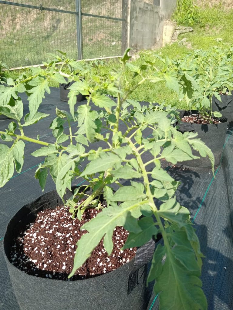 WhatsApp Image 2024-05-02 at 8.43.34 AM (2)