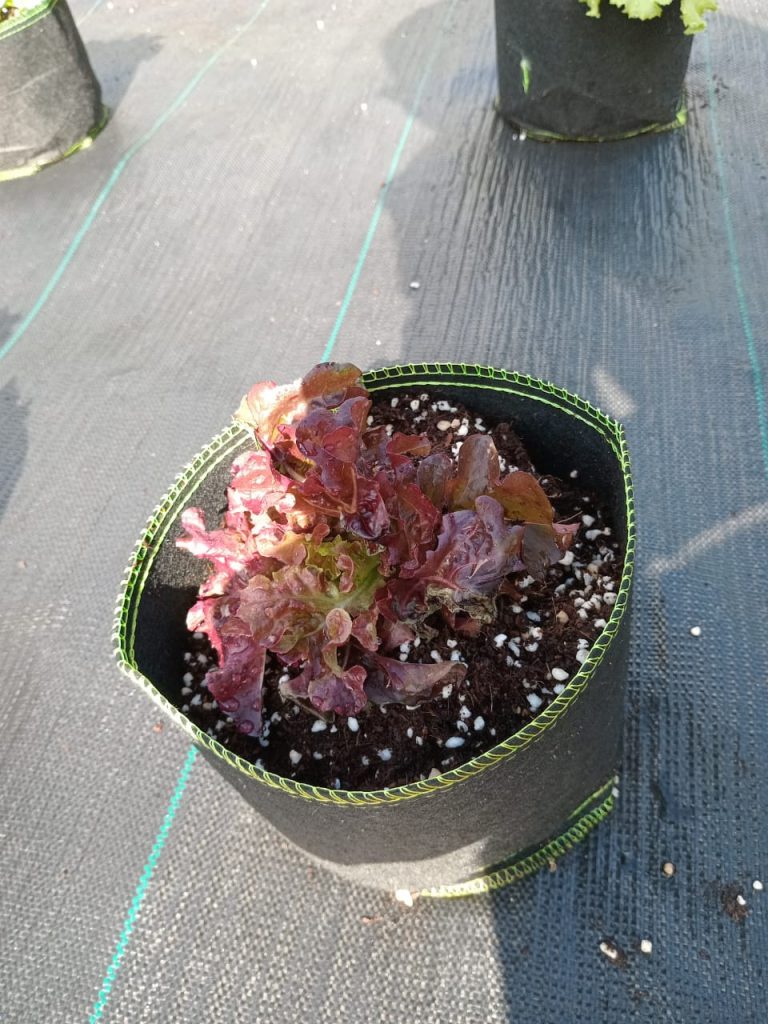 WhatsApp Image 2024-05-02 at 8.43.34 AM