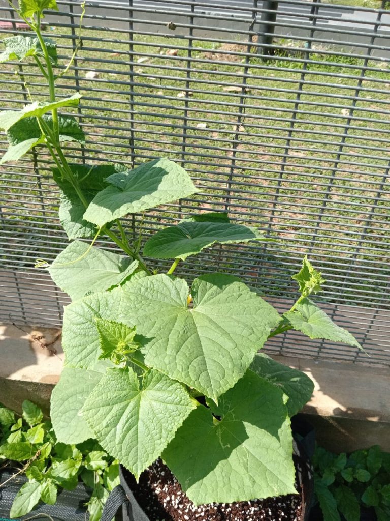 WhatsApp Image 2024-05-02 at 8.43.35 AM (1)