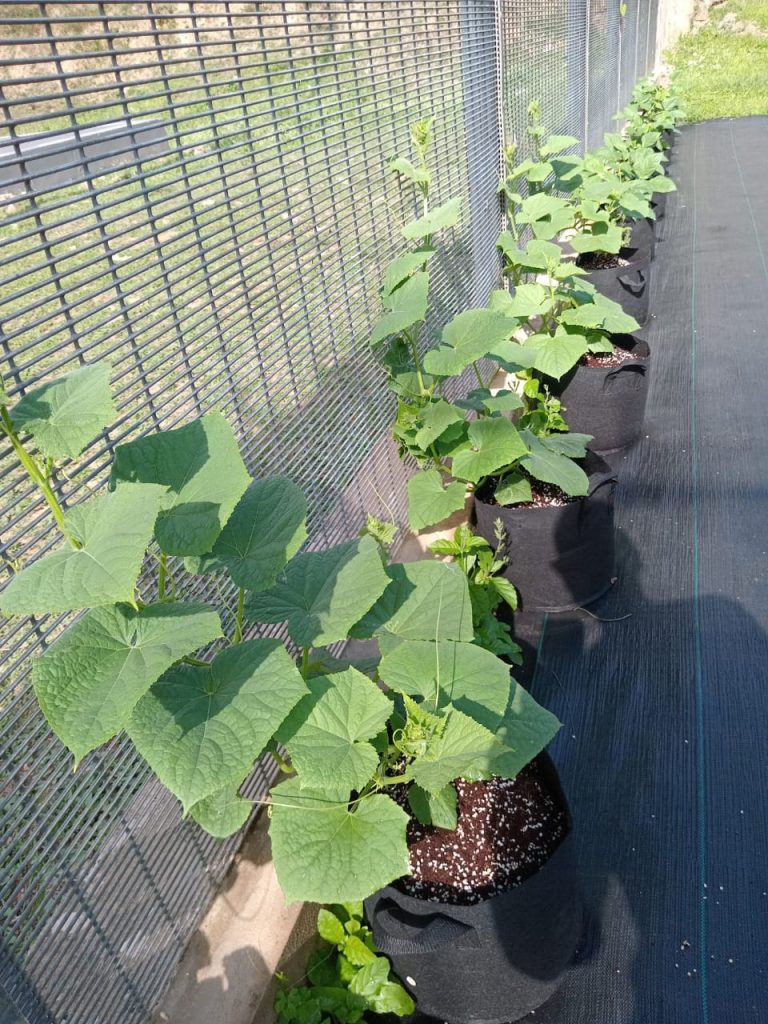 WhatsApp Image 2024-05-02 at 8.43.35 AM (2)