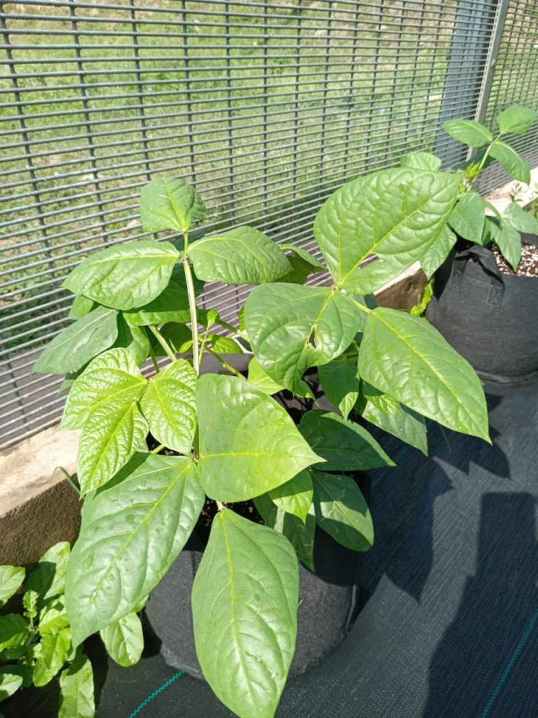 WhatsApp Image 2024-05-02 at 8.43.35 AM