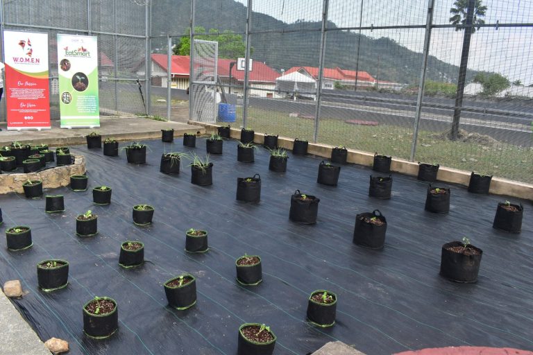 WhatsApp Image 2024-05-03 at 8.17.20 AM