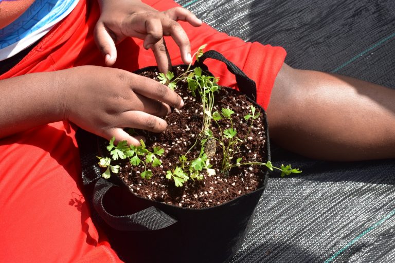 WhatsApp Image 2024-05-03 at 8.18.23 AM