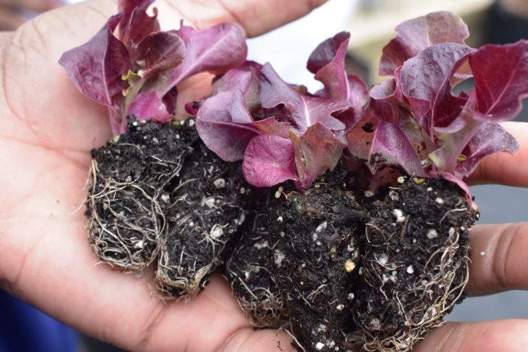 WhatsApp Image 2024-05-03 at 8.19.29 AM