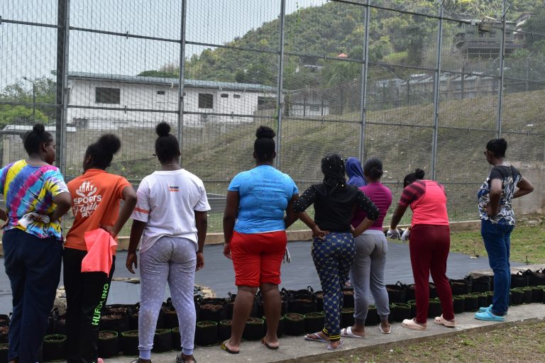 WhatsApp Image 2024-05-03 at 8.19.57 AM