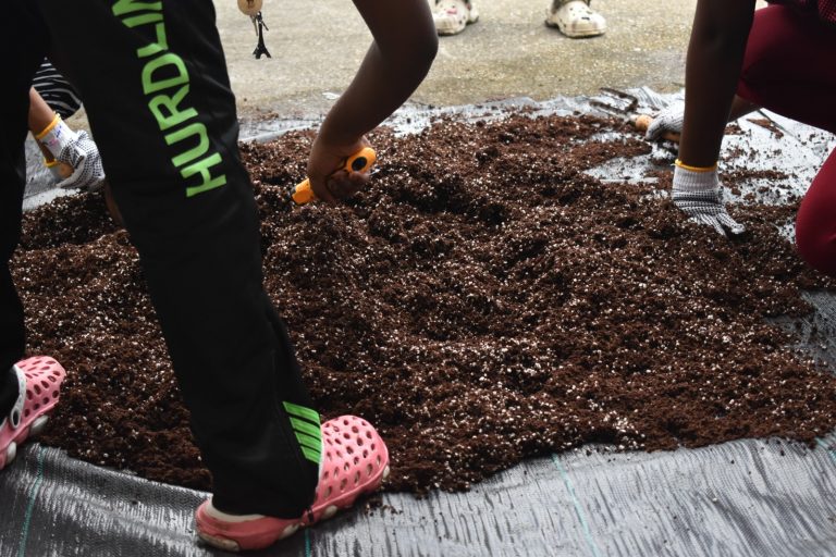 WhatsApp Image 2024-05-03 at 8.20.25 AM