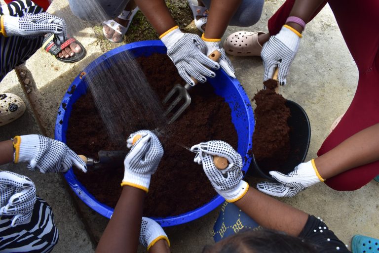 WhatsApp Image 2024-05-03 at 8.20.43 AM