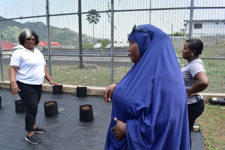 WhatsApp Image 2024-05-03 at 8.31.03 AM