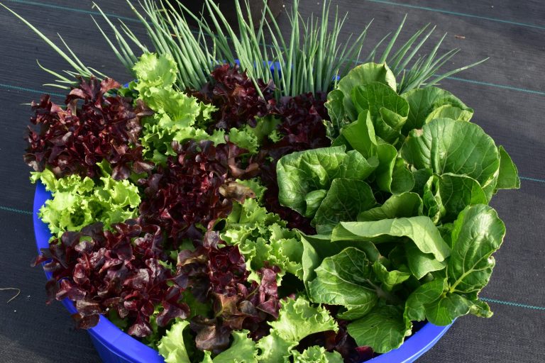 WhatsApp Image 2024-05-14 at 5.36.40 PM