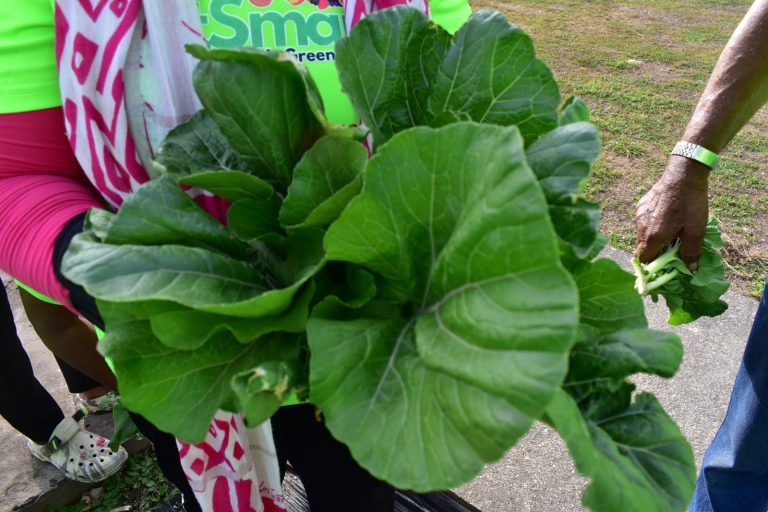 WhatsApp Image 2024-05-14 at 5.37.25 PM