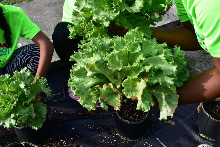 WhatsApp Image 2024-05-14 at 5.38.08 PM (1)