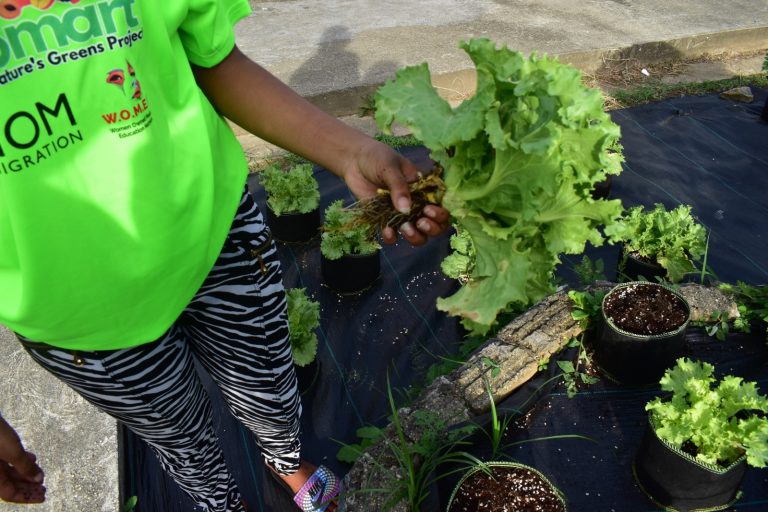 WhatsApp Image 2024-05-14 at 5.39.01 PM (1)