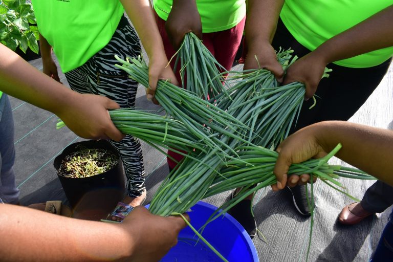 WhatsApp Image 2024-05-14 at 5.39.43 PM - Copy