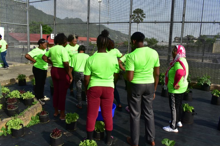 WhatsApp Image 2024-05-14 at 5.40.15 PM - Copy