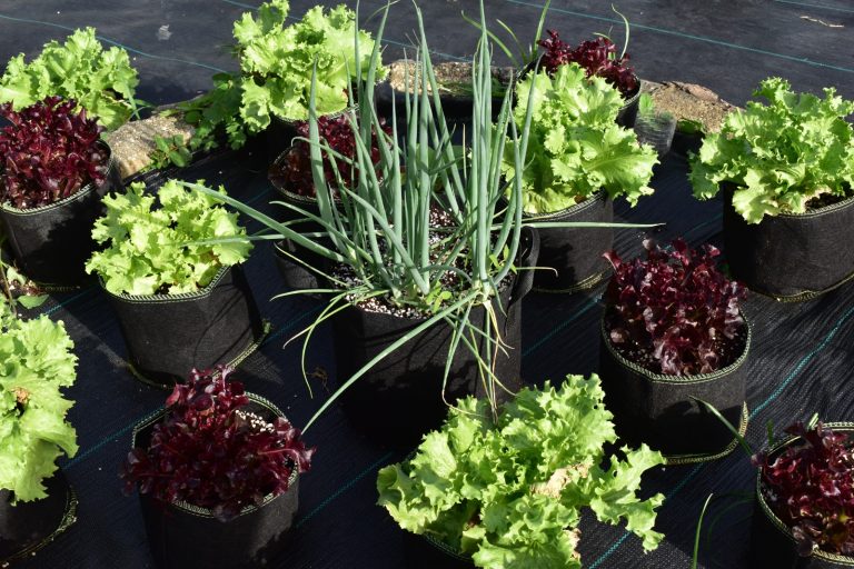 WhatsApp Image 2024-05-14 at 5.40.55 PM - Copy