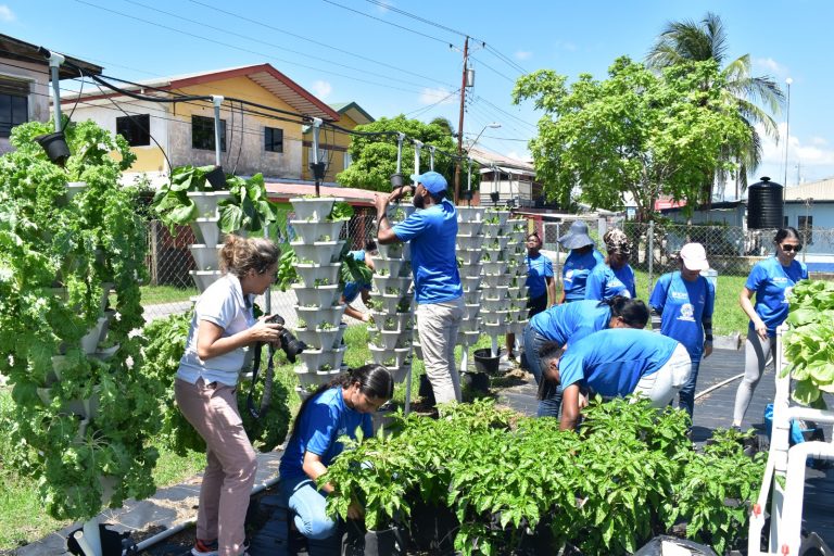 WhatsApp Image 2024-11-09 at 10.38.51 AM