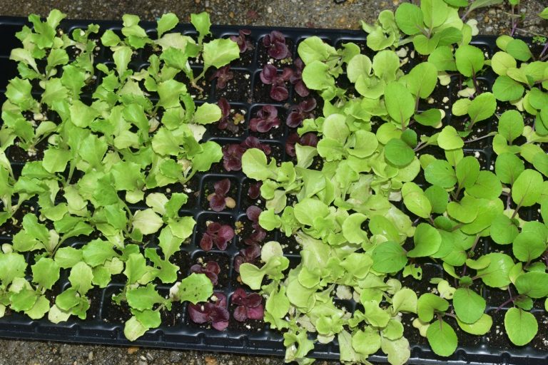 WhatsApp Image 2024-11-09 at 10.44.06 AM