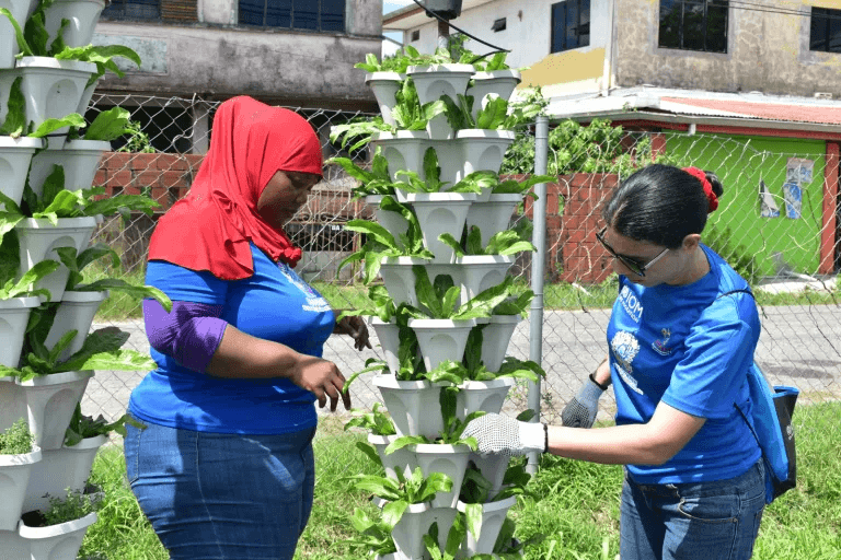 GrowSmart: Empowering Rural Women in Sustainable Agriculture Practices Program