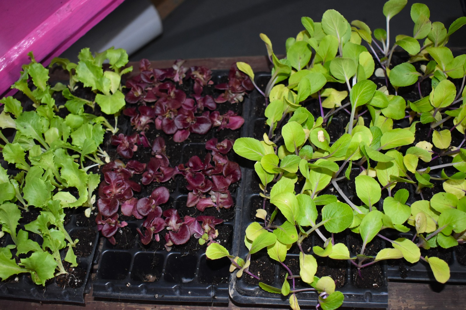 WhatsApp Image 2025-12-14 at 8.54.26 PM